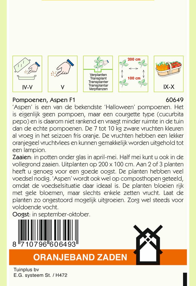 Oranjeband zaden Pompoenen Aspen F1 - Groentezaden