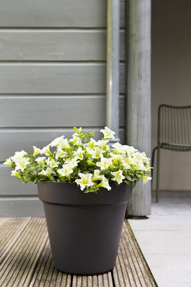 Easyday Smile - Bloempot - Zwart - 30 cm