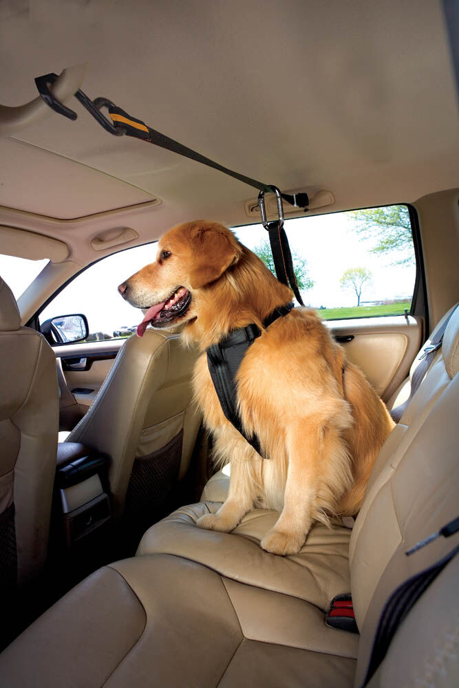 Kurgo Auto Zip Line - Autogordel