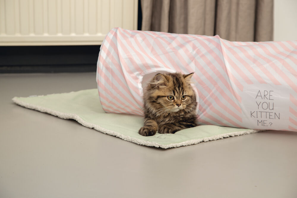 Beeztees Nini - Kattentunnel - Roze