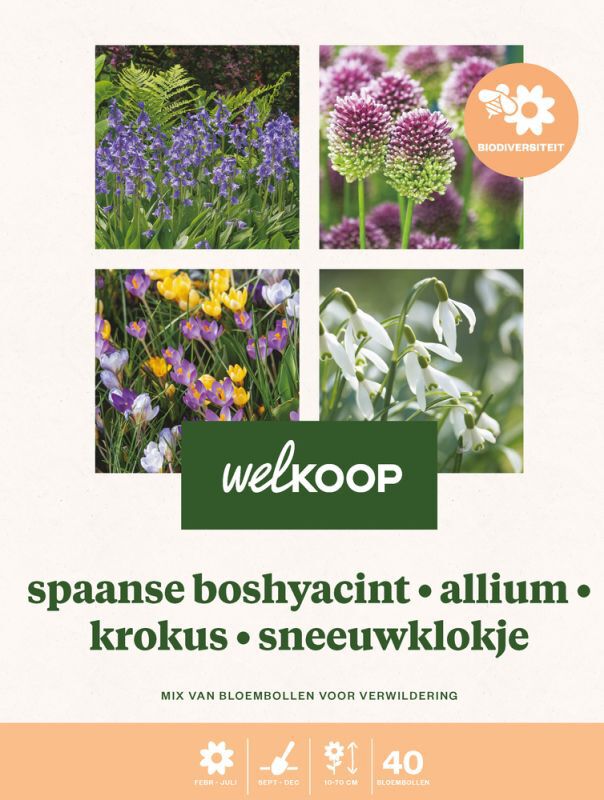 Welkoop Spaanse boshyacint Allium Krokus Sneeuwklokje - Biodiversiteit - Bloembollen Welkoop Spaanse boshyacint Allium Krokus Sneeuwklokje - Biodiversiteit - Bloembollen