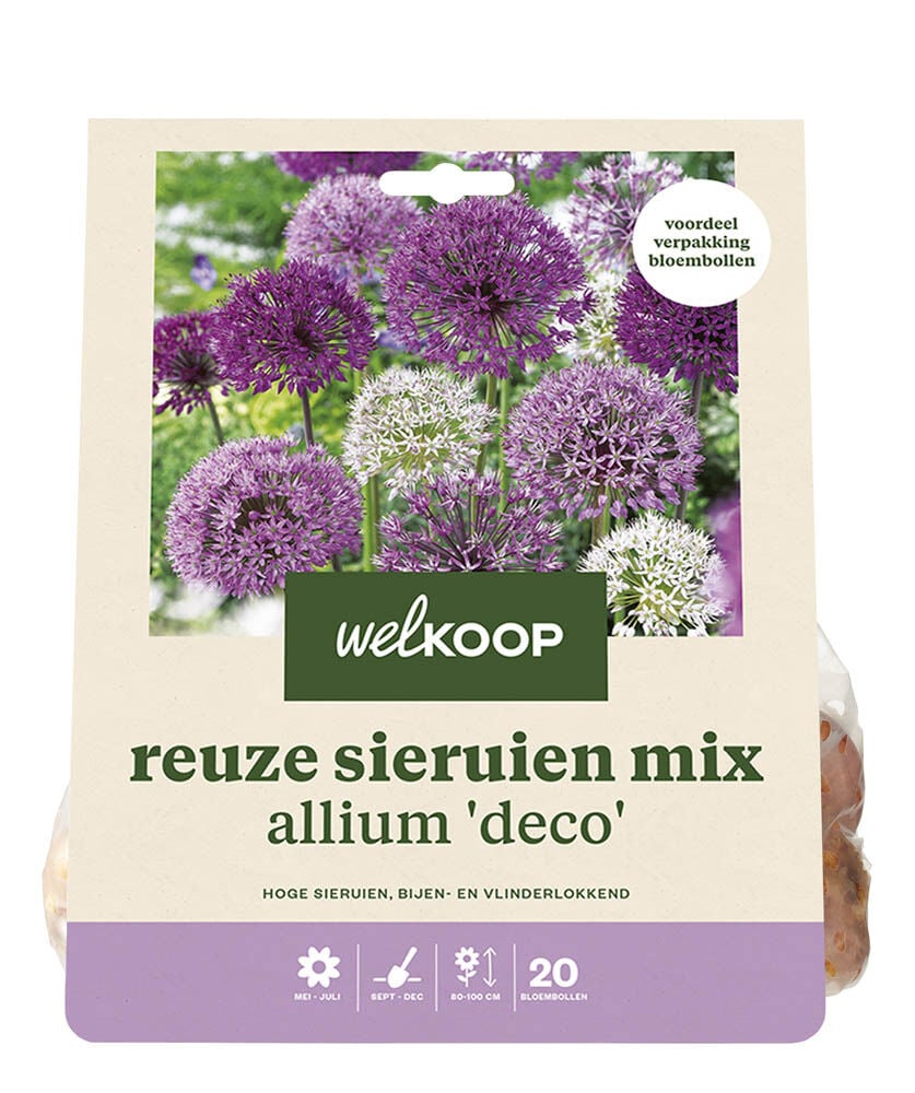 Welkoop Reuze Allium mix Mary - Bloembollen Welkoop Reuze Allium mix Mary - Bloembollen