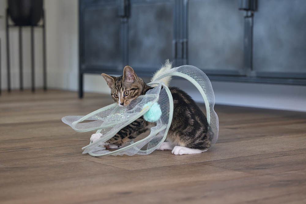 Beeztees Gabi - Katten Speelspiraal - 25.00 cm - 25.00 cm - 1.00 cm