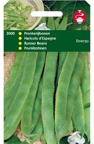 Hortitops Pronkbonen Phaseolus Coccineus L. Emergo - Snijbonen