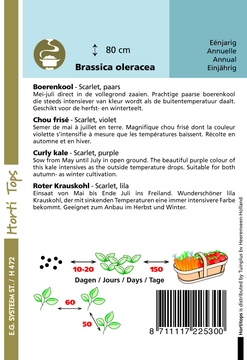 Hortitops Boerenkool Paars Scarlet Brassica oleracea - Groentezaden