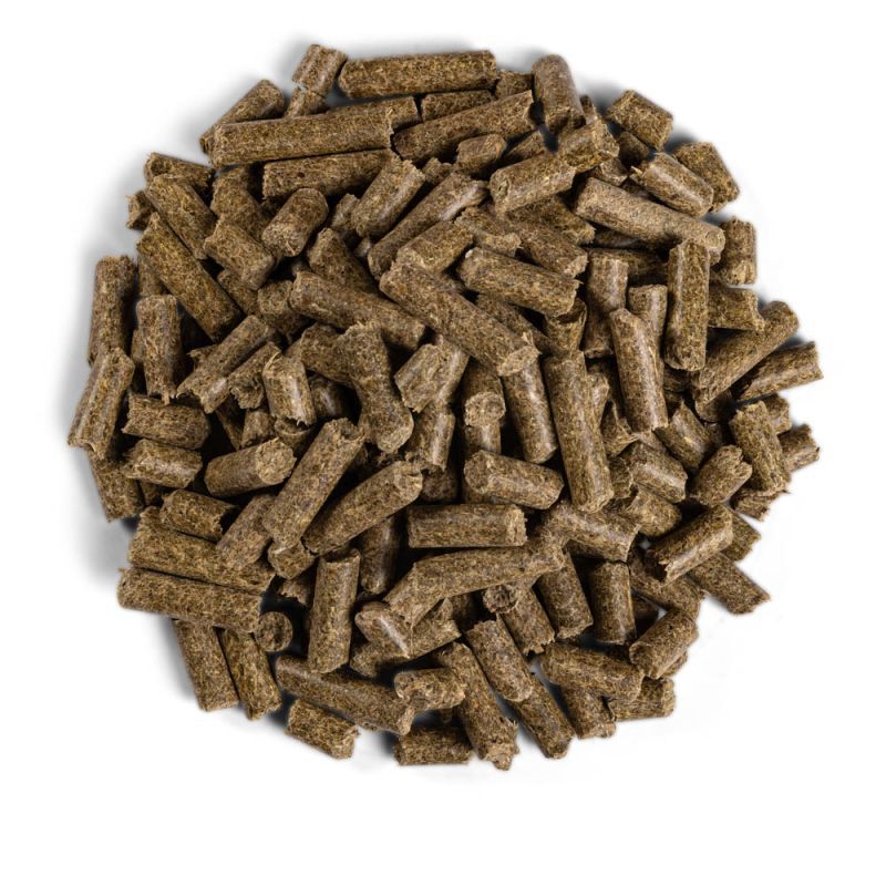 Equilannoo Breeding Cube - Fokkerij - 20