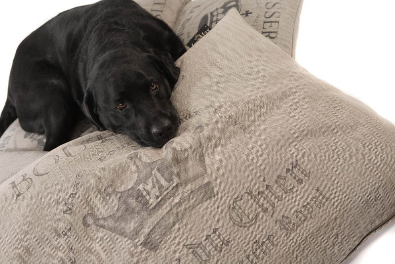 Lex & Max Bouti - hondenkussen - Beige - 15x70x100 cm