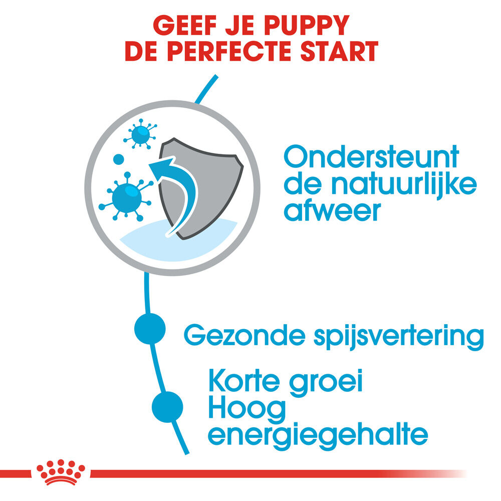 Royal Canin SHN Medium Junior - Hondenvoer - 15 - gevogelte
