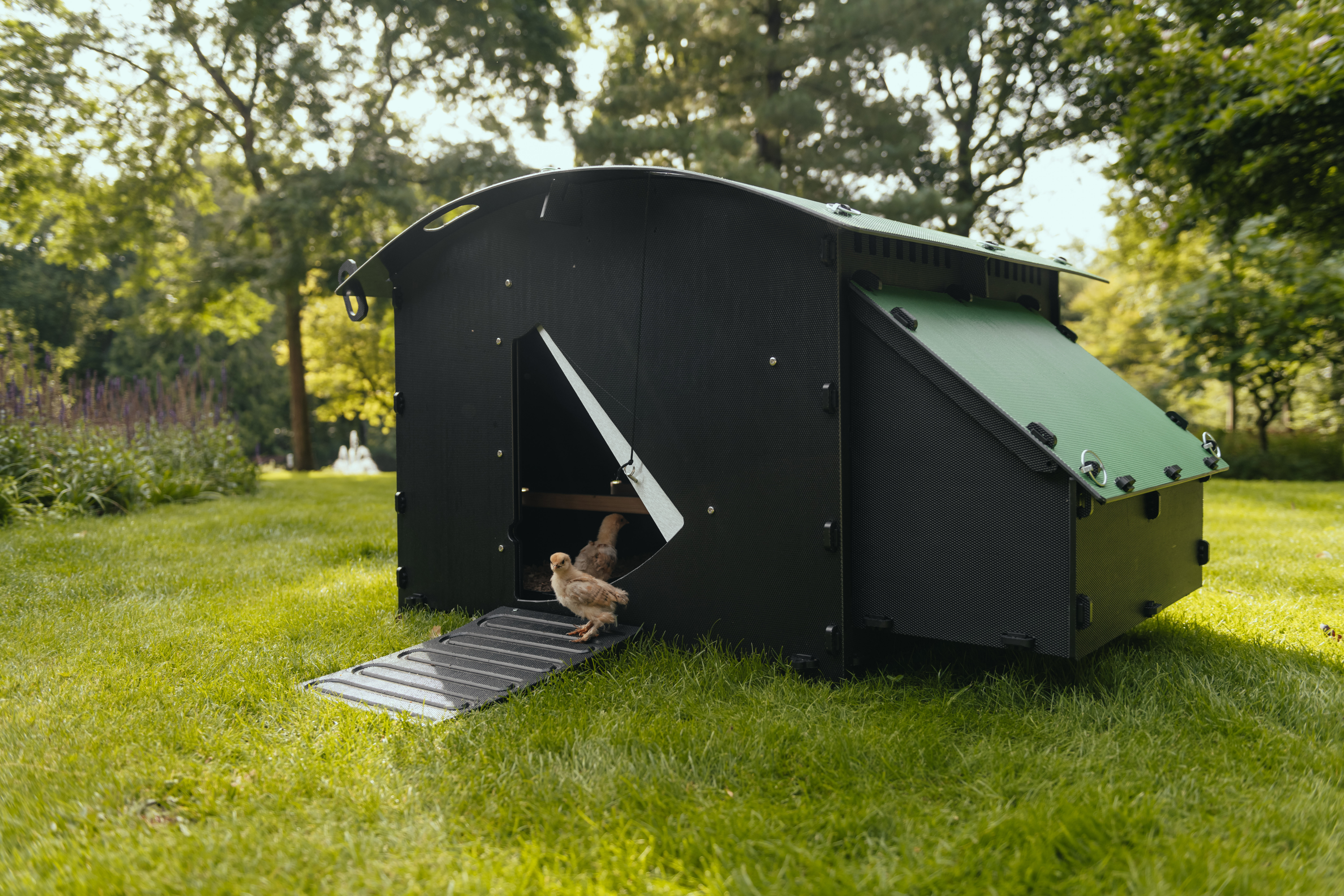 Nestera House - Kippenhok - tot 8 kippen - 78.00 cm - Zwart/Groen - 91.00 cm - L - 80.00 cm