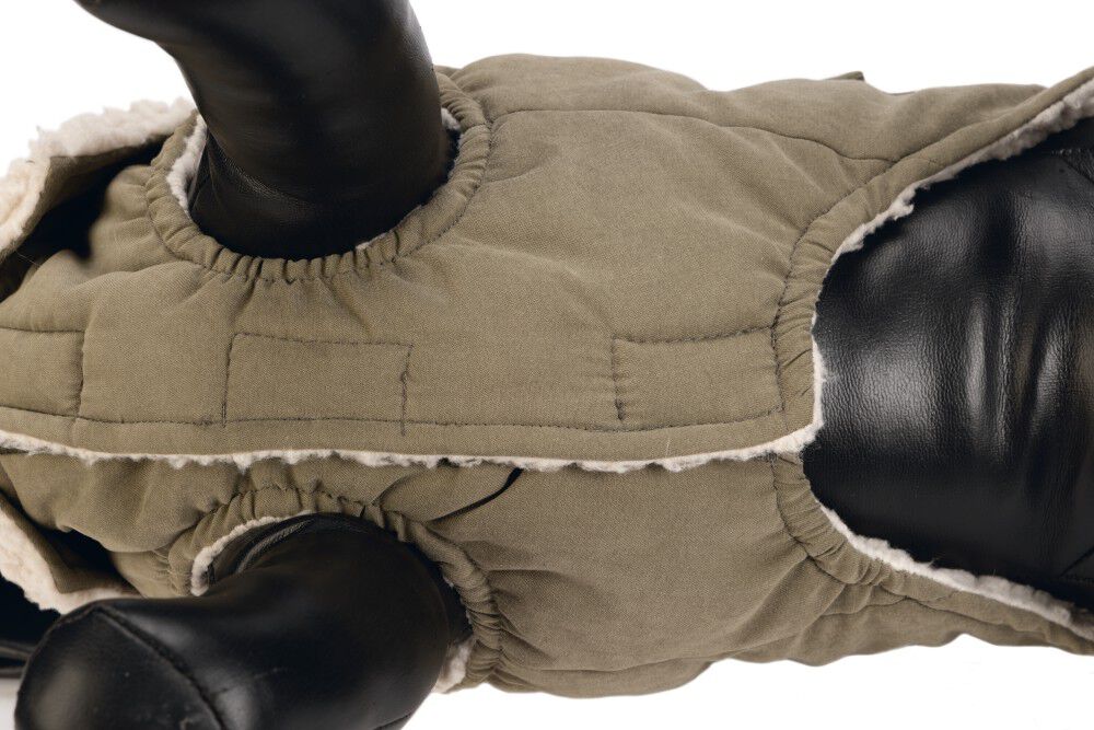 Designed by Lotte Philos - Hondenjas - groen - 24 cm - XS