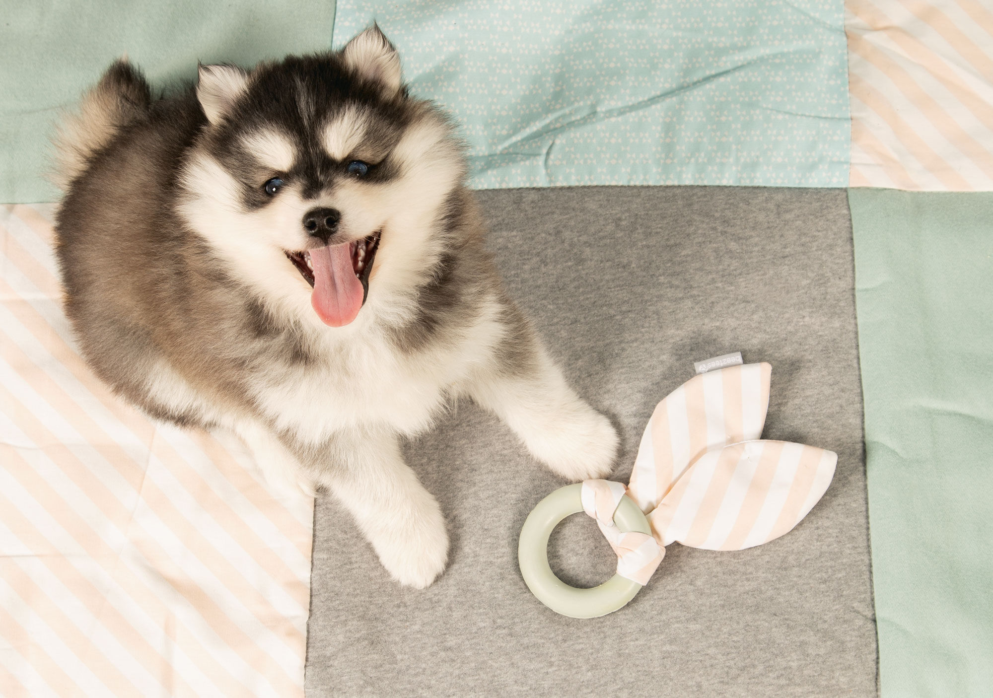 Beeztees Tjuwa Kauwring - Kauwspeelgoed puppy - grijs - 25x9x2 cm