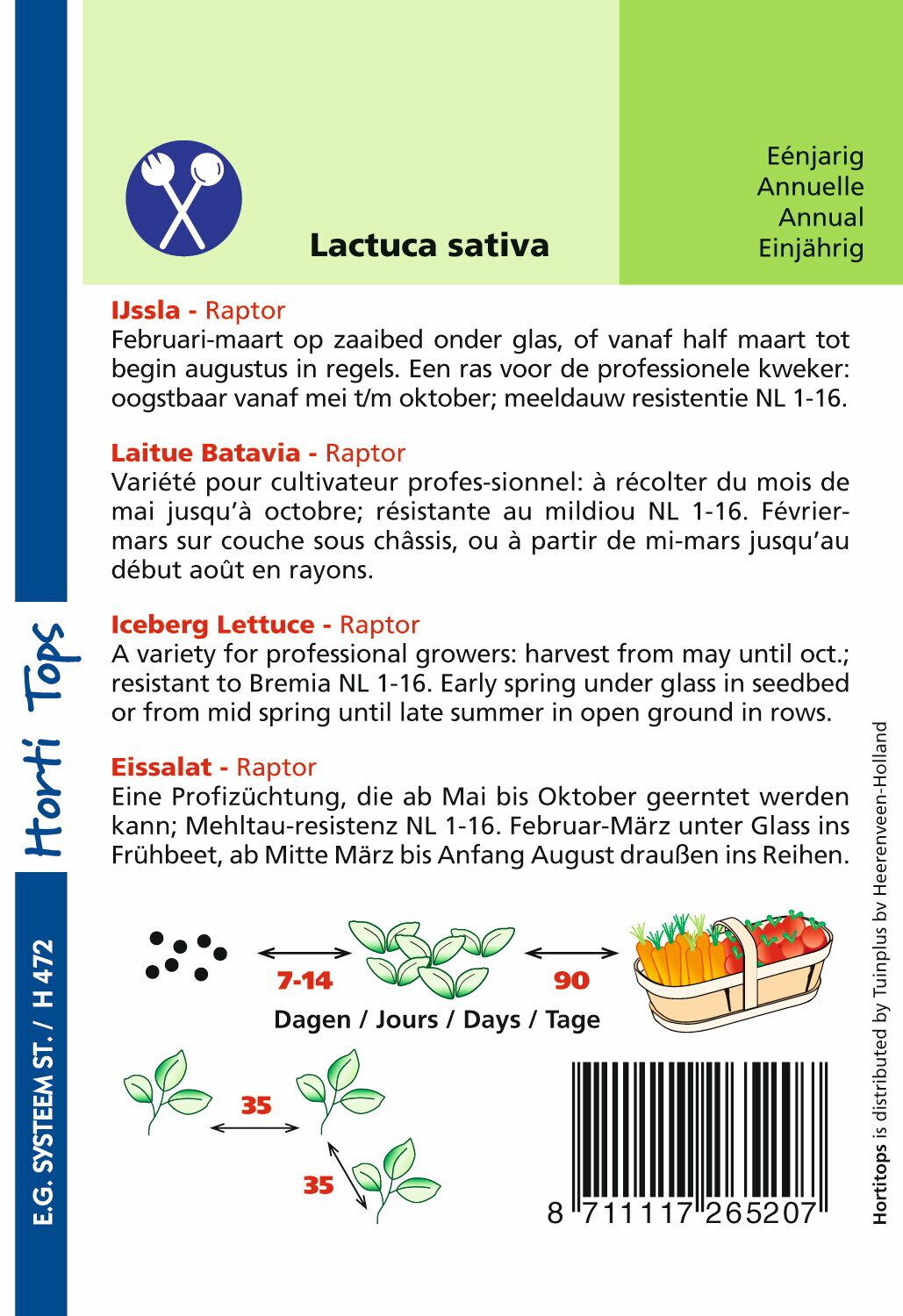 Hortitops Ijssla Lactuca sativa Raptor (vh Dublin) - Groentezaden