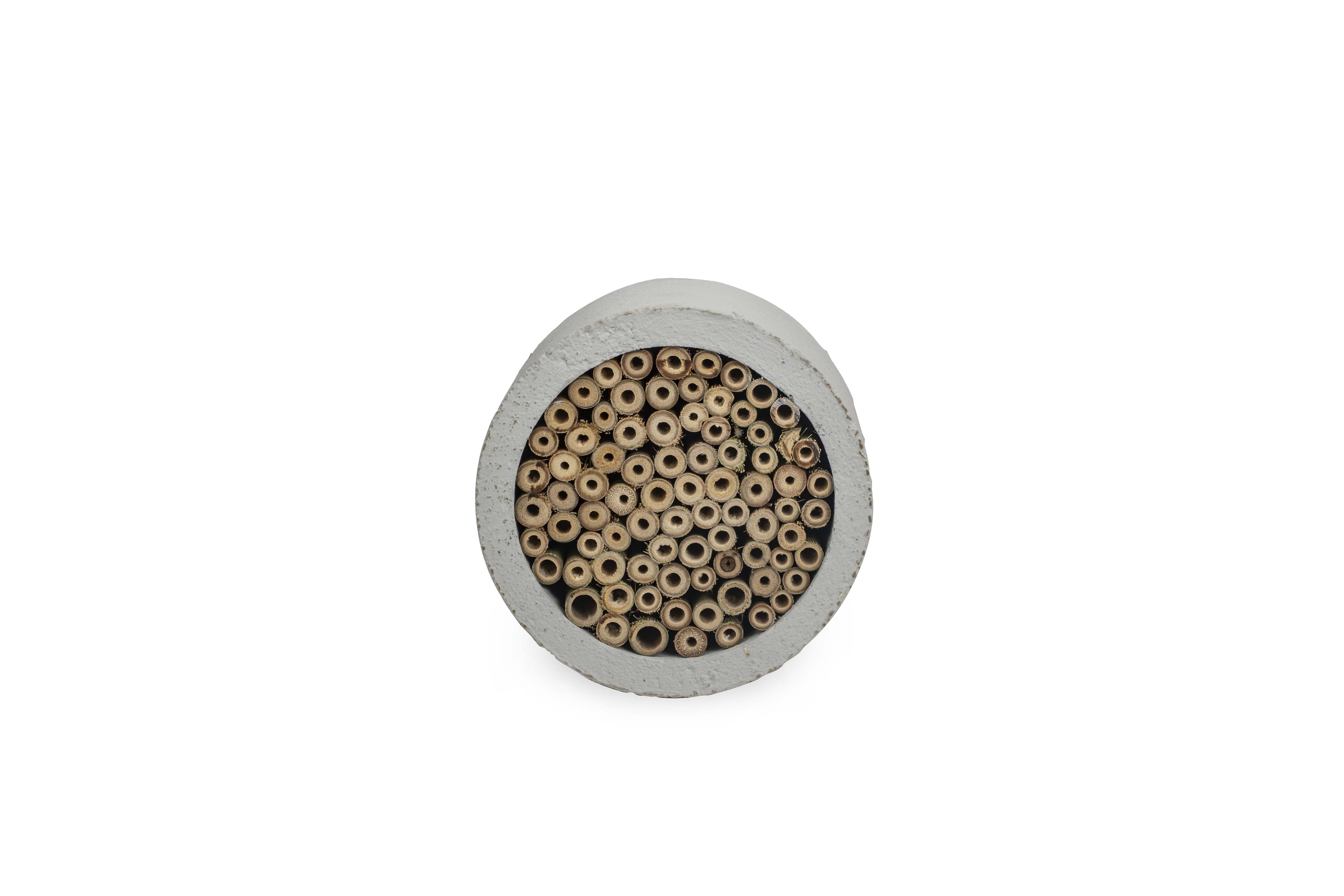 CJ Wildbird Foods Isabela - Insectenhotel - Grijs - ⌀ 15 cm