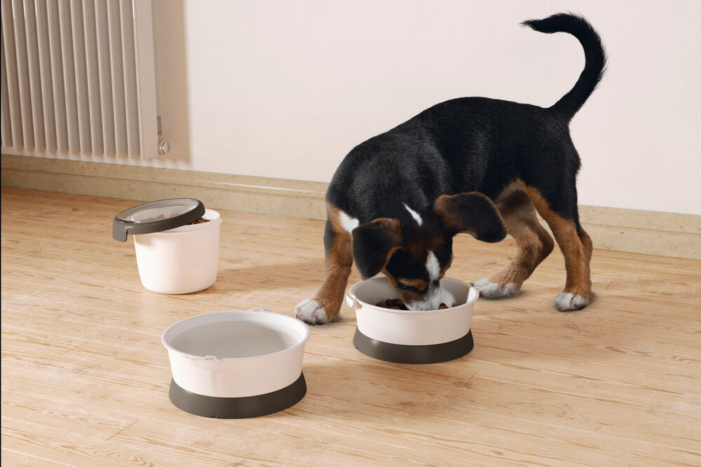 Curver Pet Food Travelkit  - Voerbak - Zilver