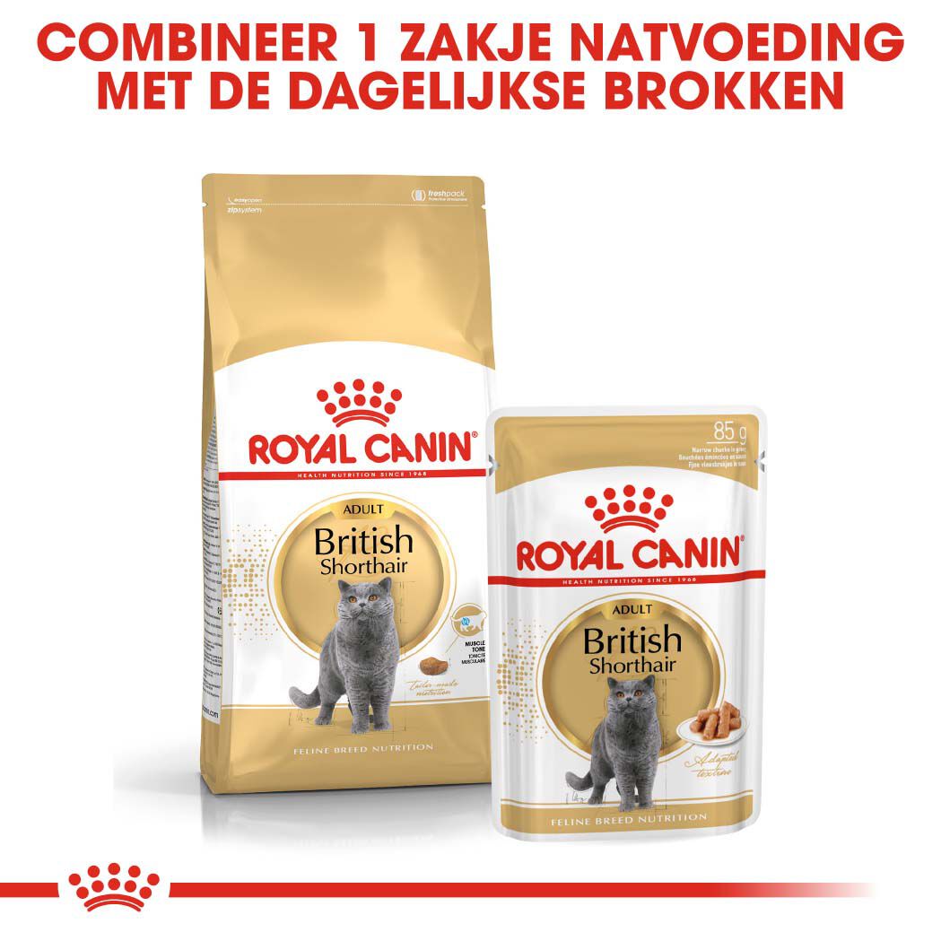 Royal Canin Britse Korthaar Adult - Kattenvoer - 4 - Gevogelte