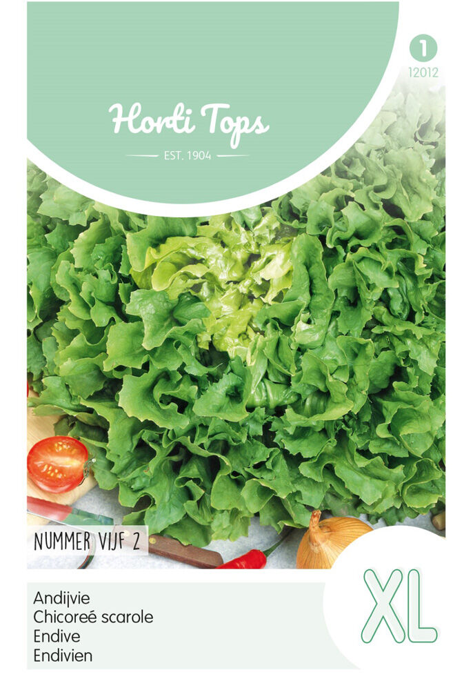 Hortitops Andijvie Cichorium endivia Nummer Vijf 2 - Groentezaden Hortitops Andijvie Cichorium endivia Nummer Vijf 2 - Groentezaden