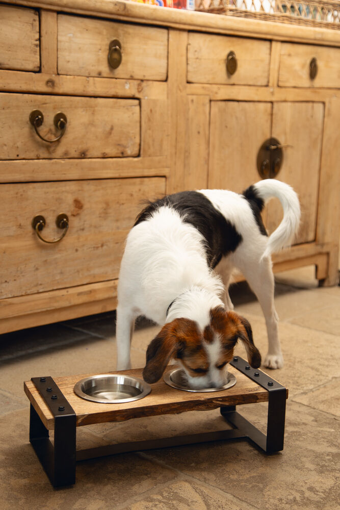 Designed By Lotte Karinto Dinerset - Voer & Drinkbak - 18.00 cm - Bruin Zwart - 22.00 cm - 48.00 cm