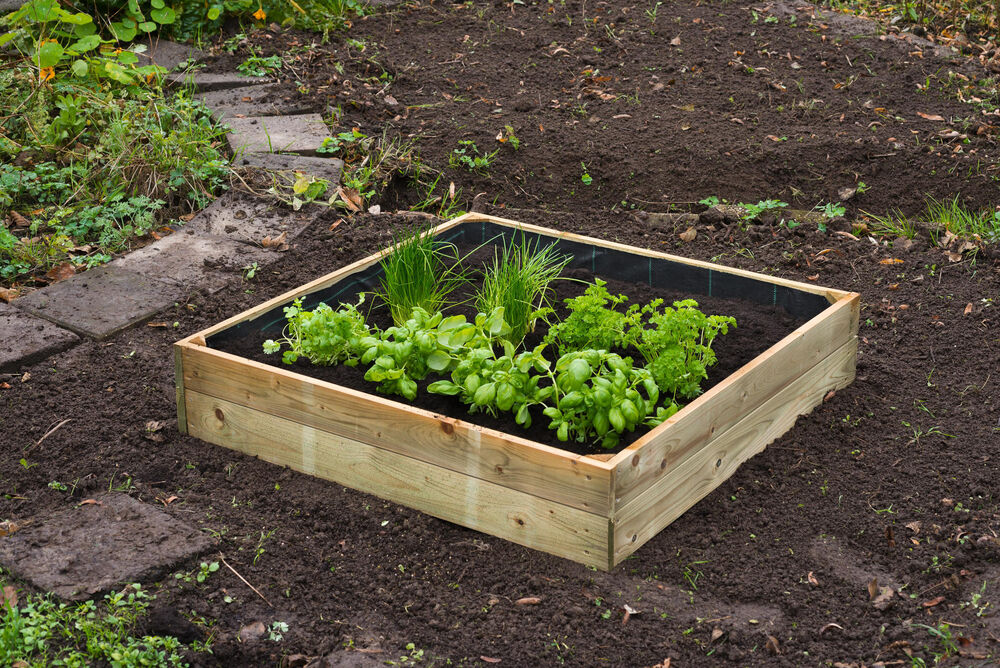 Nature - Gronddoek - 10x134x1 cm