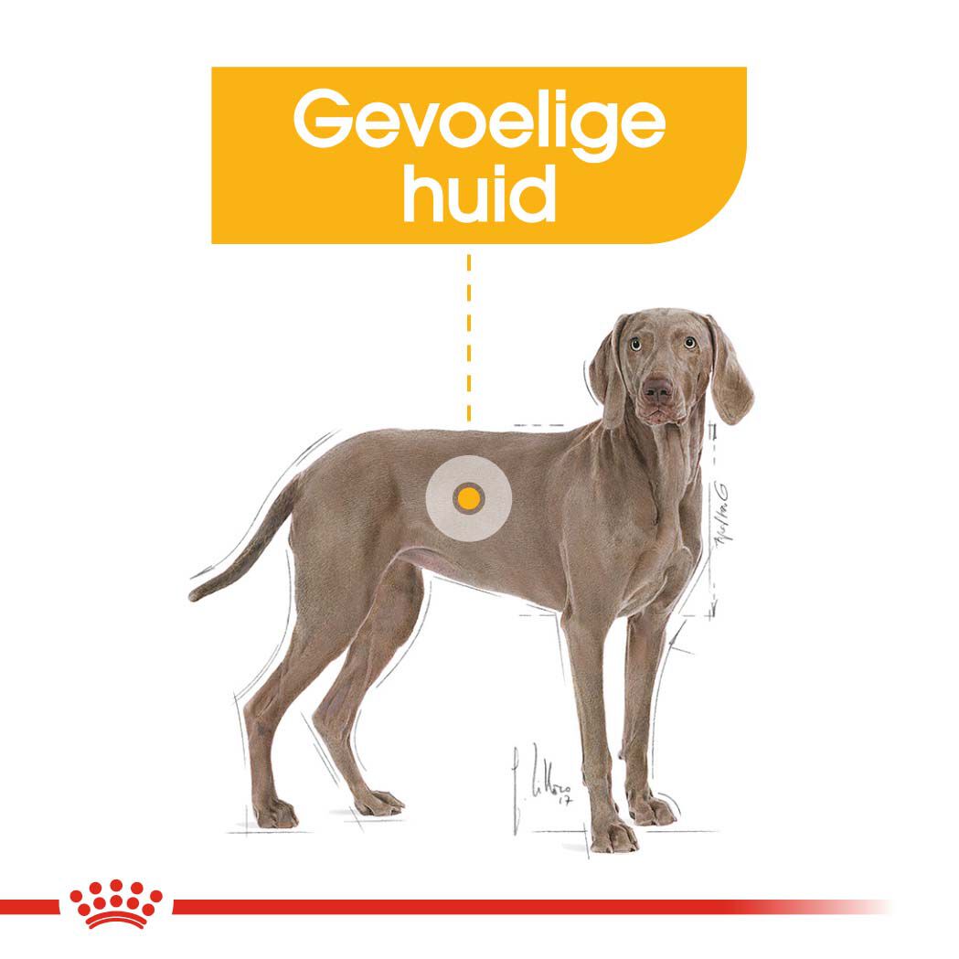 Royal Canin Maxi Dermacomfort - Hondenvoer - 3 - gevogelte