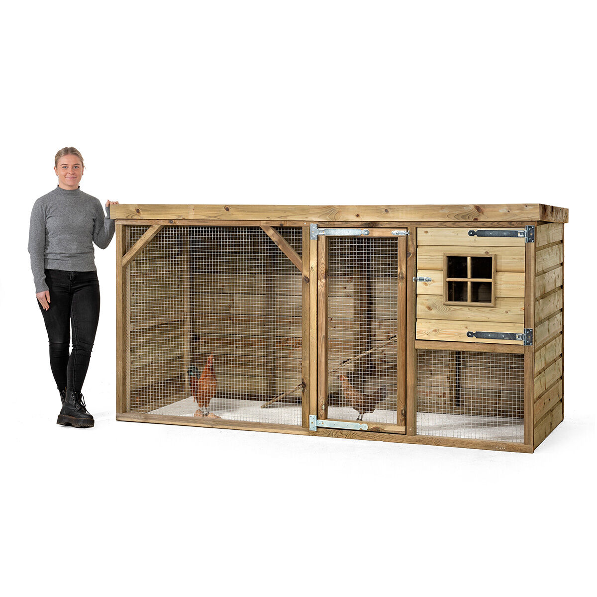 Glorenza  Daisy - Kippenhok