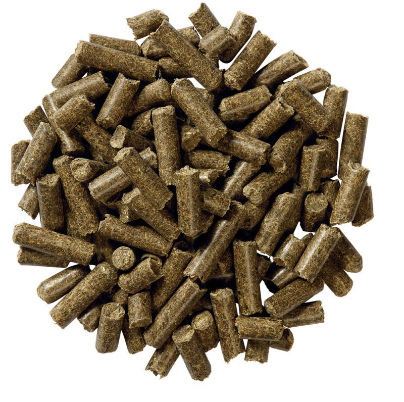 Equilannoo Gastro Cube - Specialiteit - 20.00