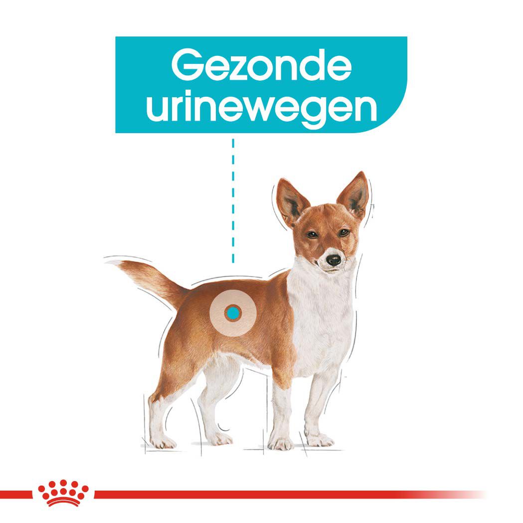 Royal Canin Urinary Care Wet - Hondenvoer - 1020 - gevogelte
