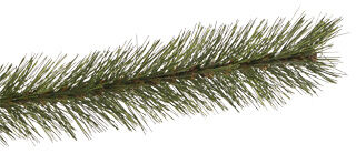 Triumph Tree Forest Frosted Pine - Kunstkerstboom - 185.00 cm - Groen - 1.00 cm - 130.00 cm - 1.00 cm