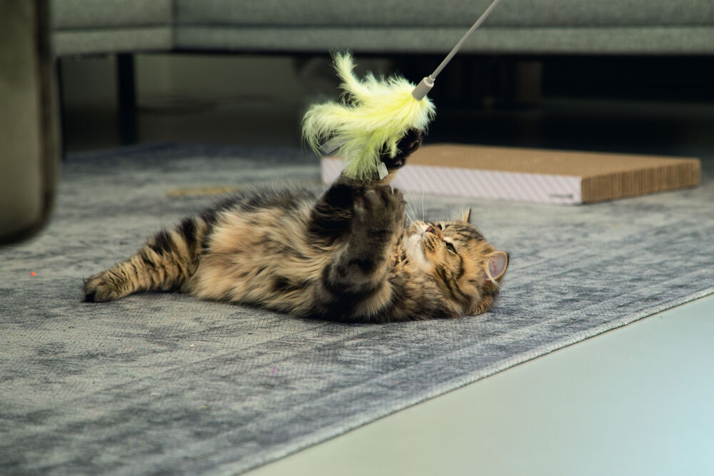 Beeztees Hengel Orry - Kattenspeeltje - Geel - 1 cm