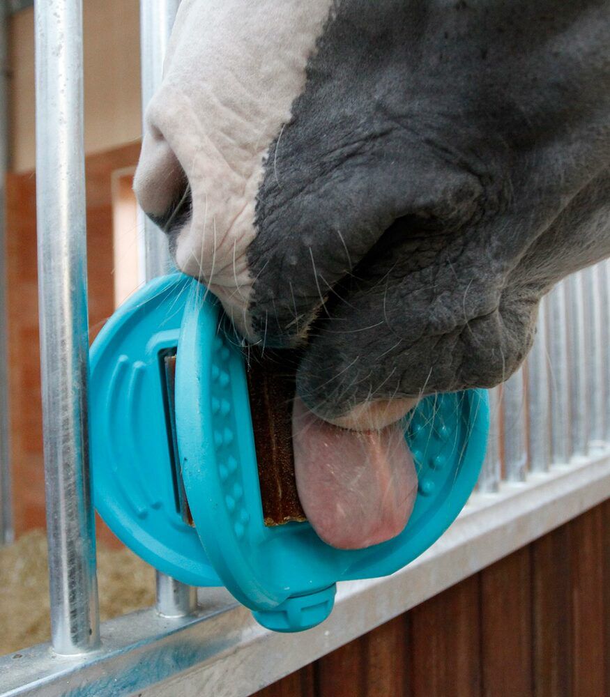 Bizzy Ball - Liksteenhouder - Aqua Bizzy Ball - Liksteenhouder - Aqua