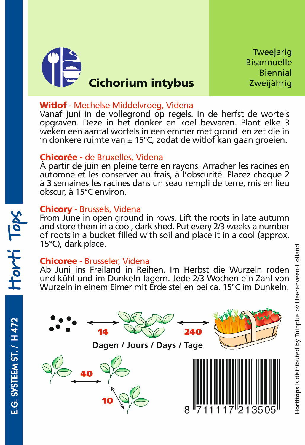 Hortitops Witlof Mechelse Videna - Groentezaden - 2,5 gram