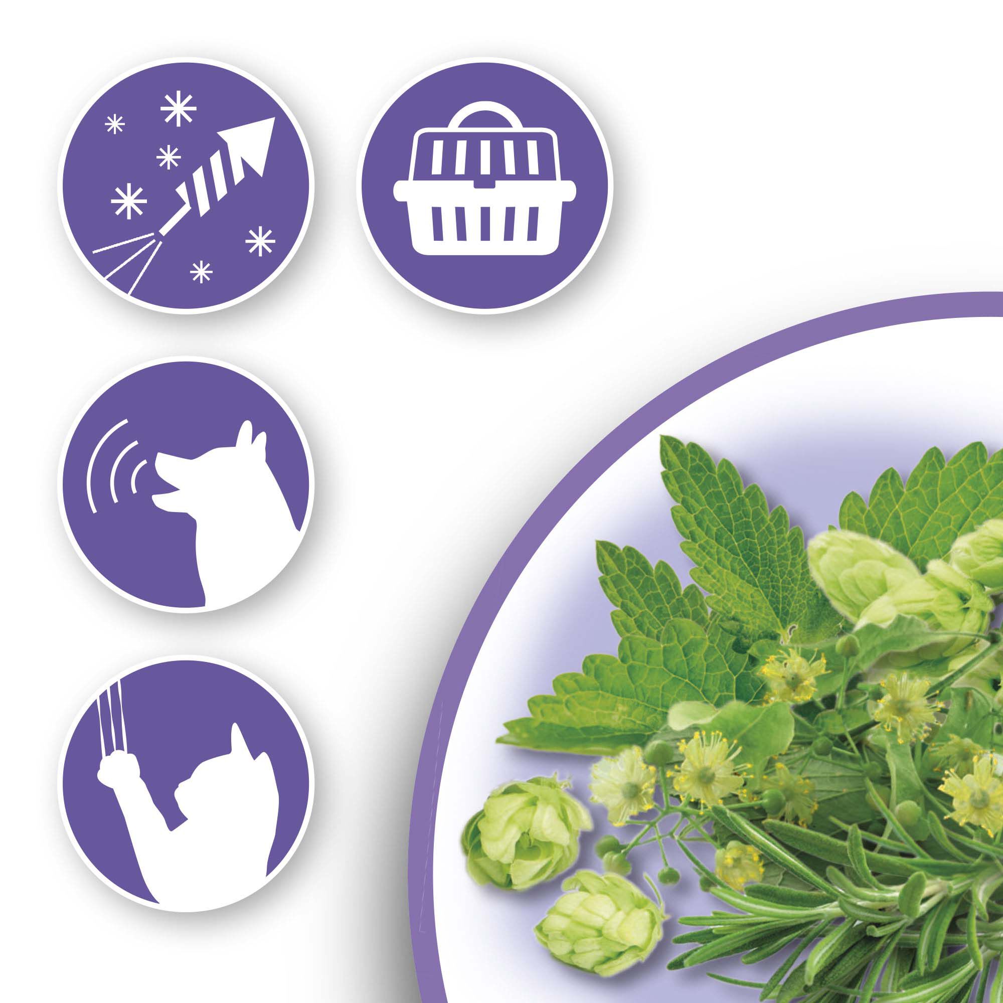 Beaphar No Stress- Tabletten