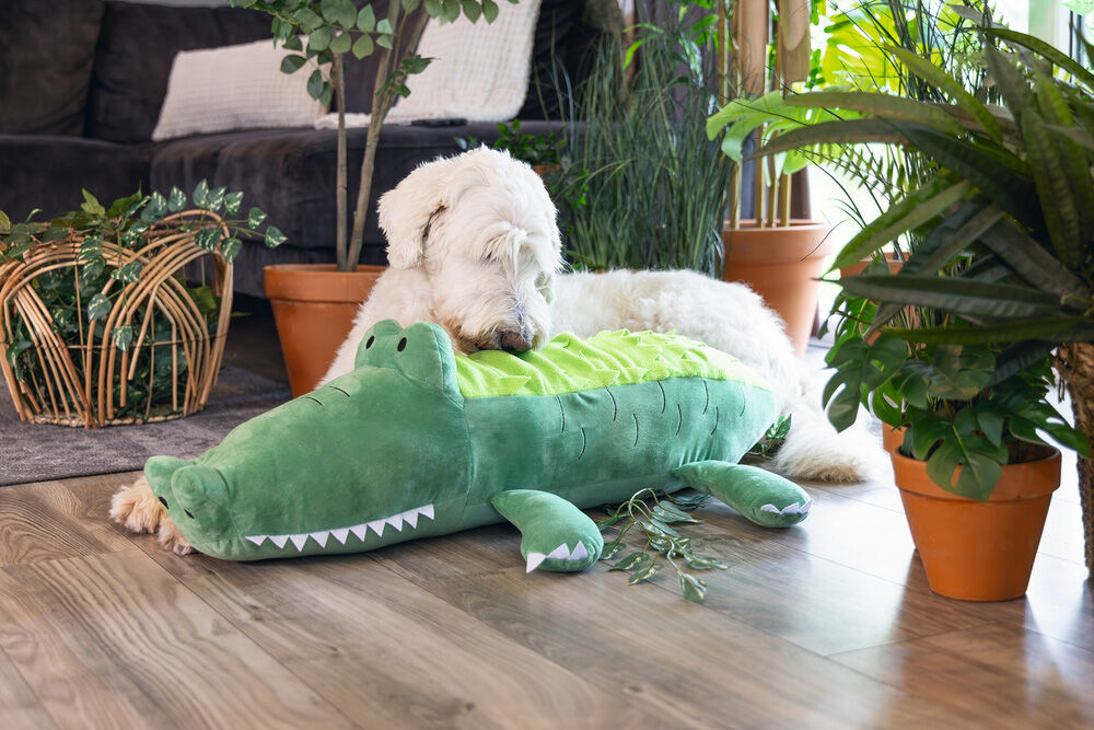 Beeztees Hide and Seek Jungle Krokodil - Snuffelmat - Hondenspeelgoed - 1.00 cm - Groen - 54.00 cm - 84.00 cm