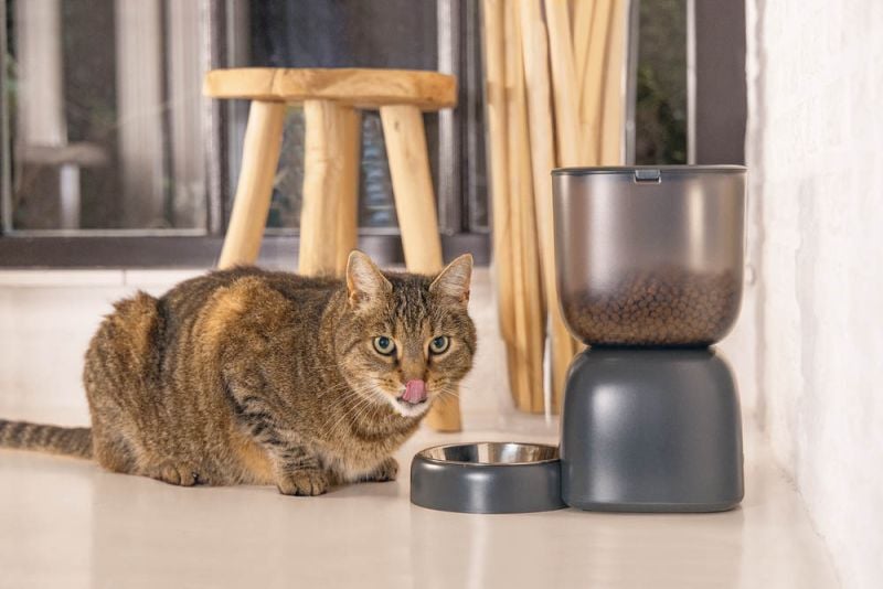 Beeztees Chris - Automatische voerbak - 3 liter - Grijs - 32x32x32 cm