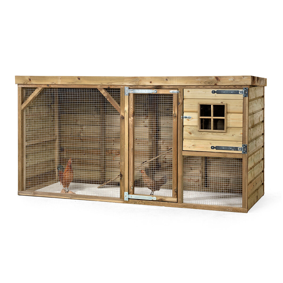 Glorenza  Daisy - Kippenhok Glorenza  Daisy - Kippenhok