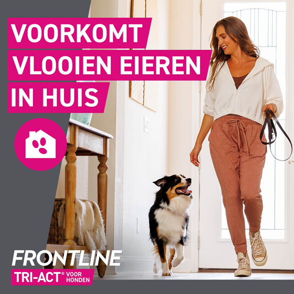 Frontline Tri-Act S - Teken en vlooienpipet - 3 pipetten - S