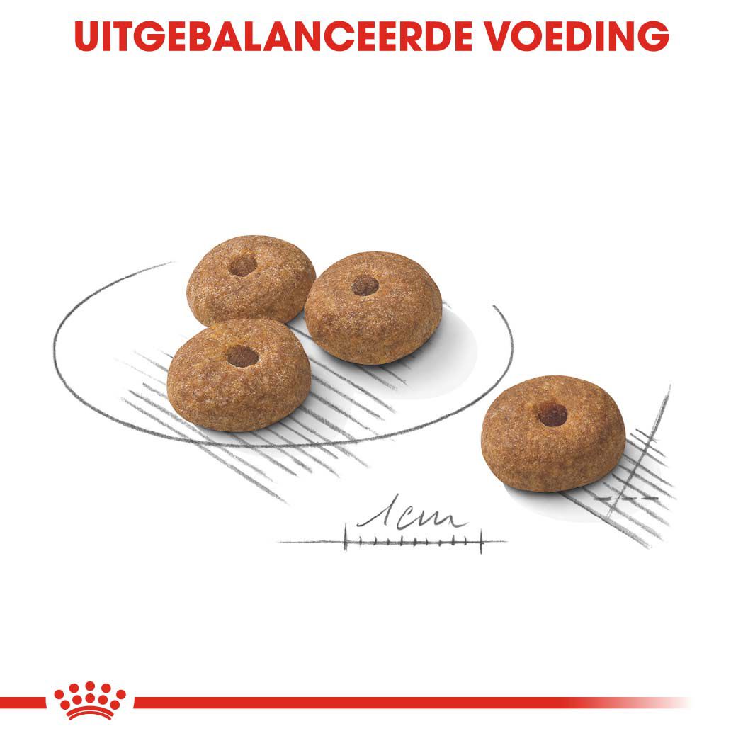 Royal Canin Sterilised Mini - Hondenvoer - 3 - gevogelte