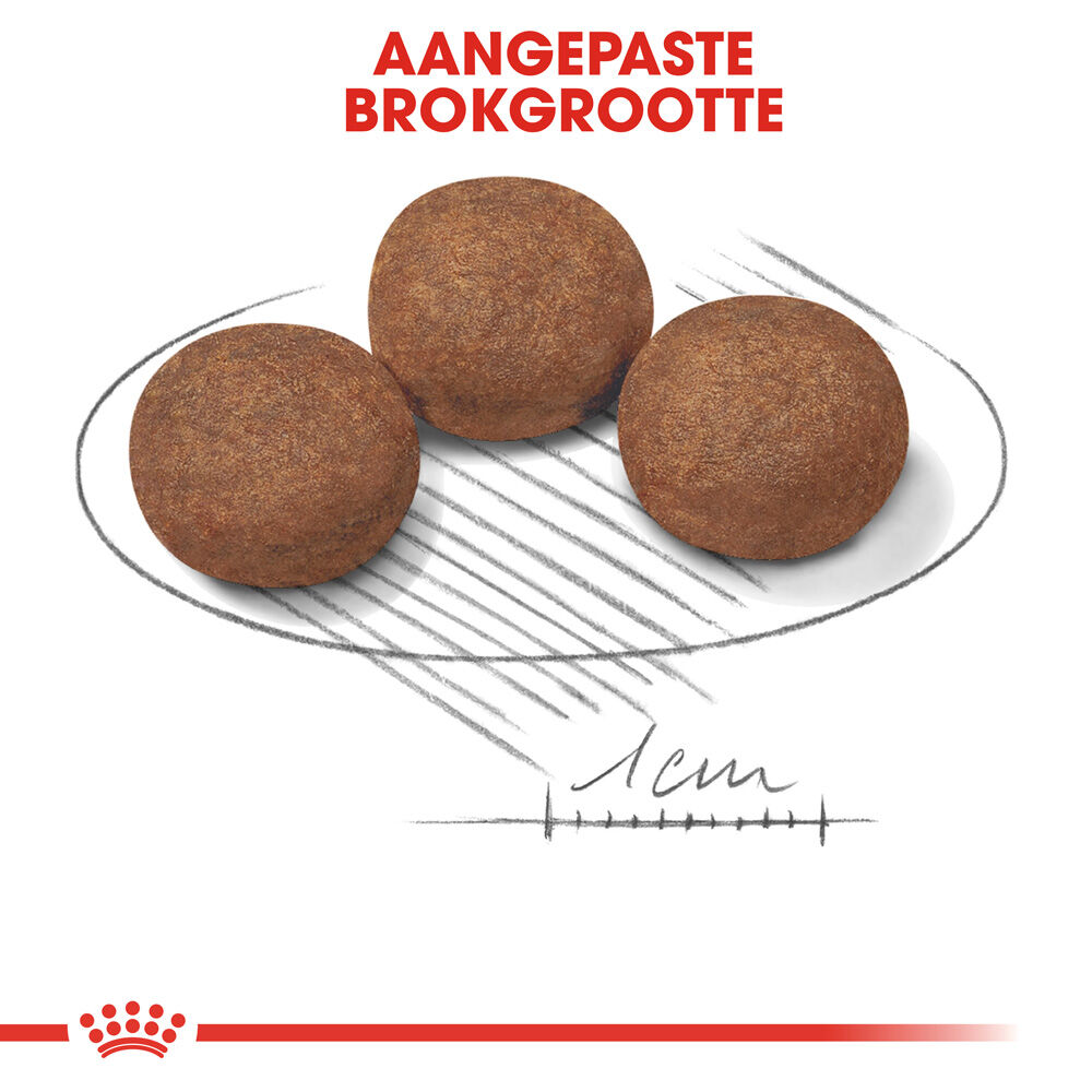 Royal Canin SHN Medium Junior - Hondenvoer - 15 - gevogelte