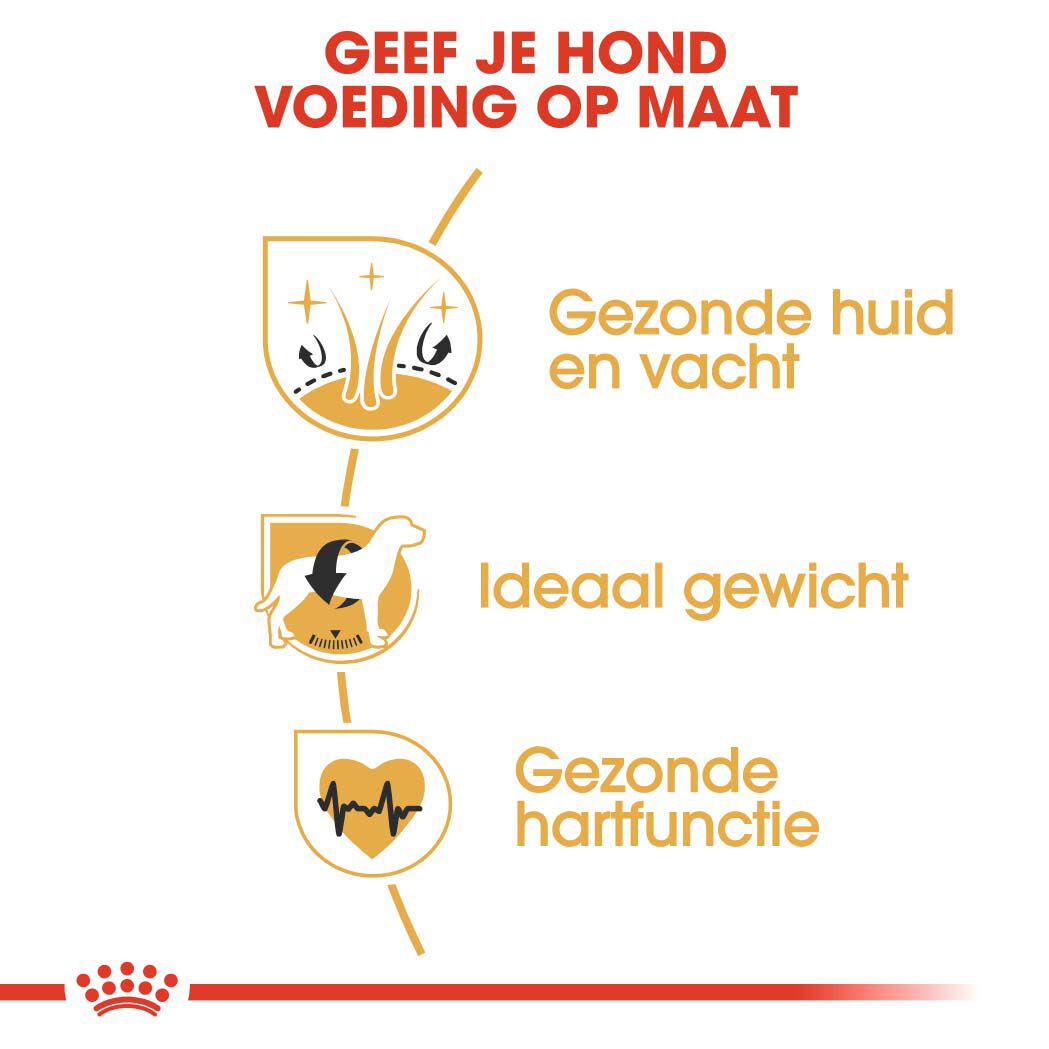 Royal Canin Cocker Spaniel Adult - Hondenvoer - 3 - gevogelte