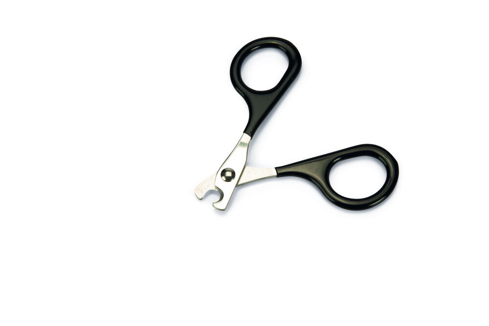 Beeztees - Nagelschaar - 13.00 cm - Zwart/grijs - 9.00 cm - 8.00 cm - 0.50 cm