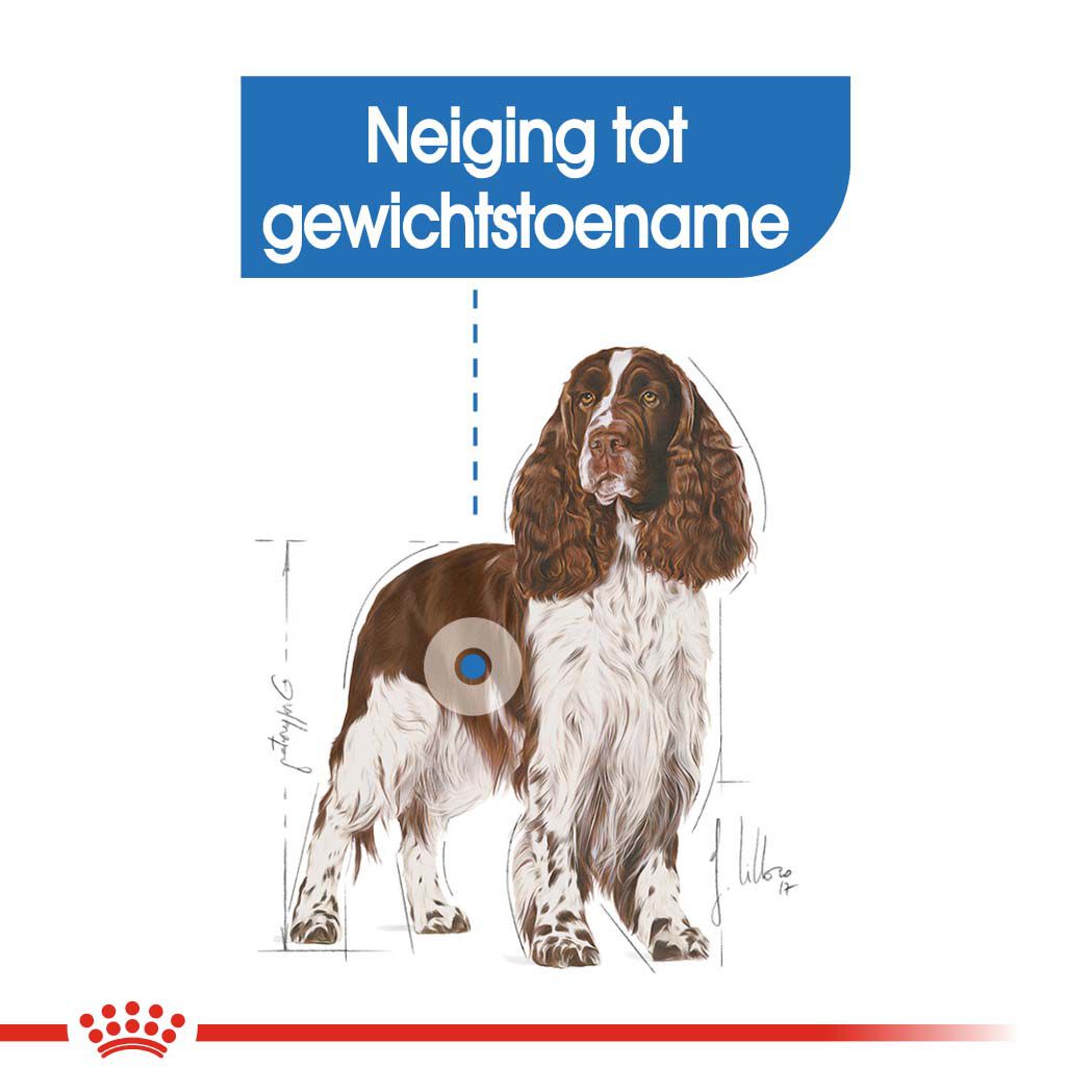 Royal Canin Light Weight Care Medium Adult - Hondenvoer - 12 - gevogelte