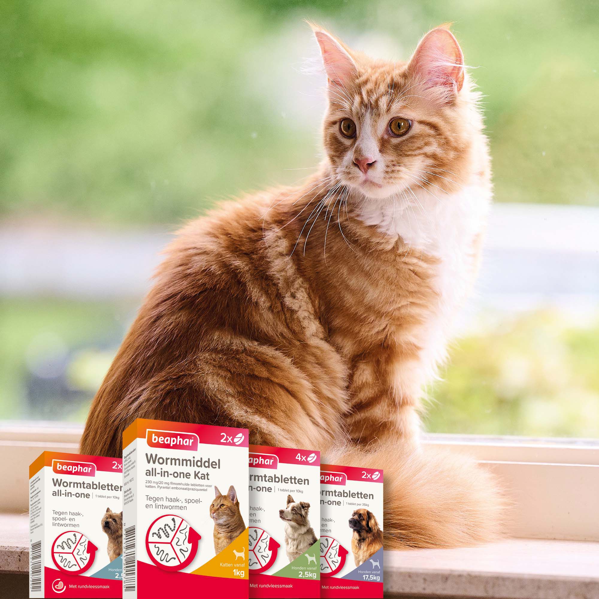 Beaphar all-in-one Tabletten - Ontwormen Kat en Kittens