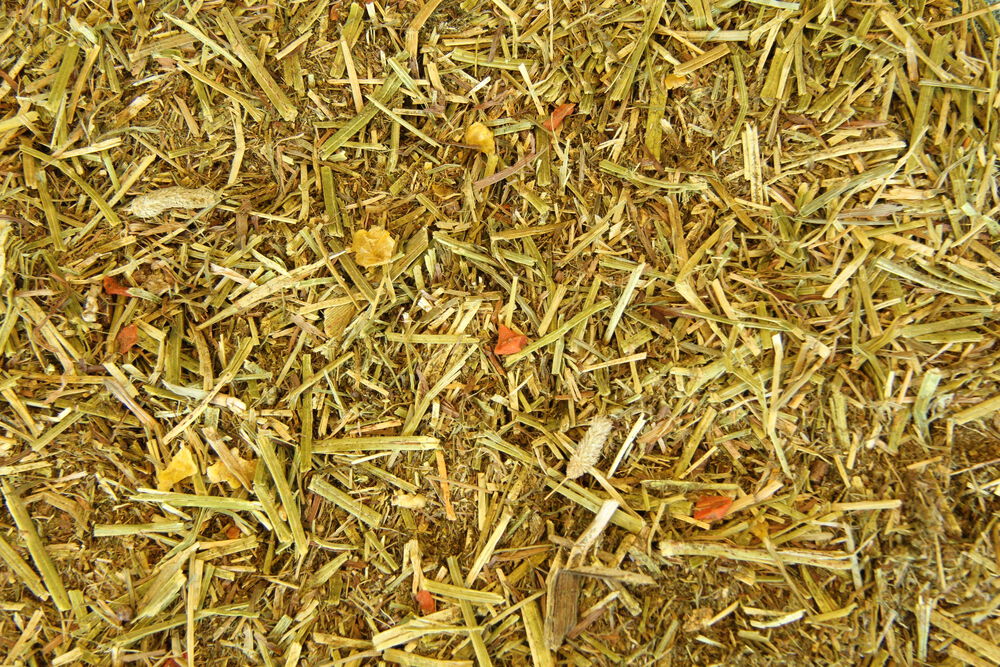 Voermeesters - Ruwvoermix Royaal - 15 kg - Zak