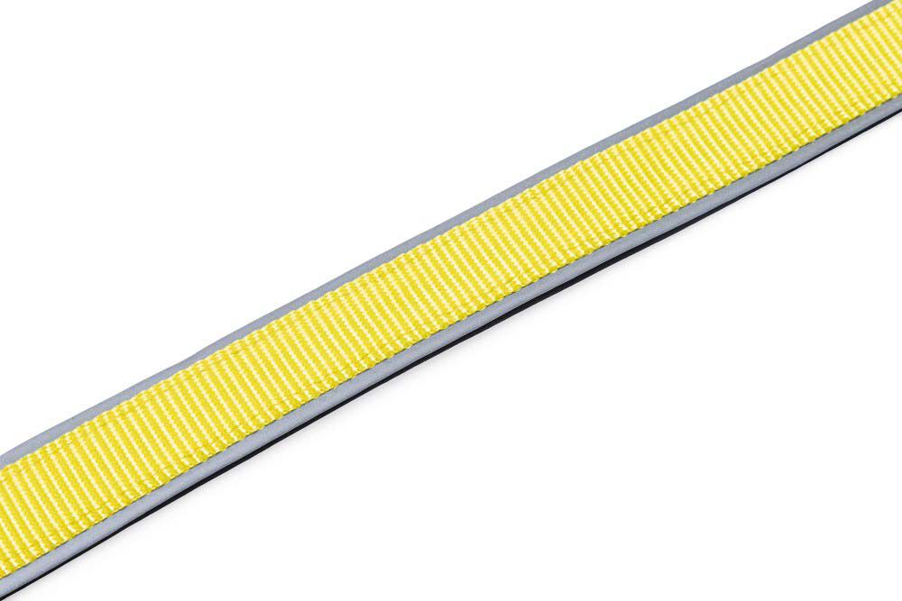 Beeztees Parinca Premium LED - Veiligheidsriem Hond - 80.00 cm - geel - 25 mm - 4.20 cm - 150.00 cm - 4.50 cm