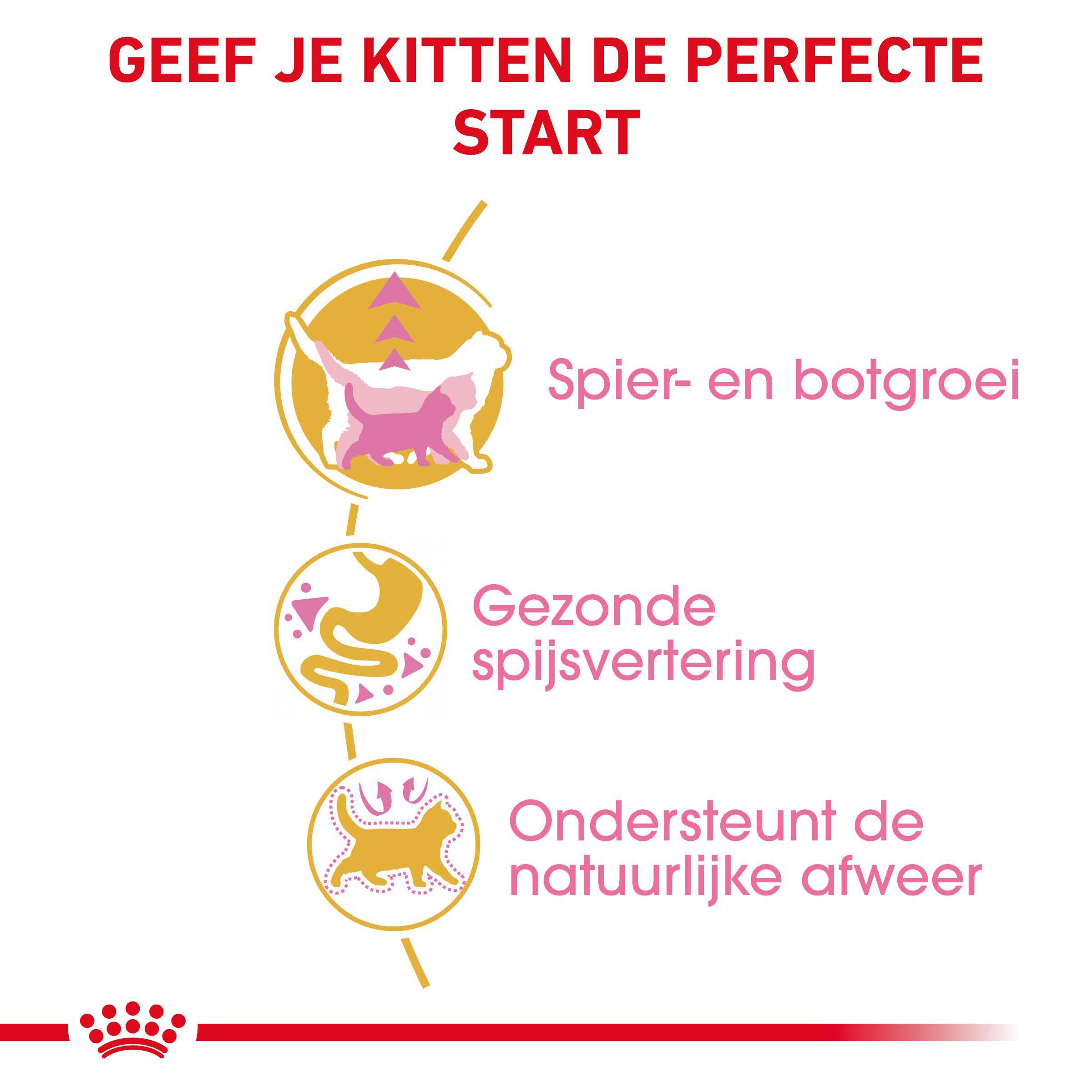 Royal Canin Britse Korthaar Kitten - Kattenvoer - 10 - Gevogelte