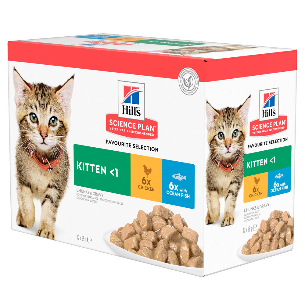 Hill's Science Plan Kitten - Kattenvoer - 12x85 gram - Kip - Vis - 1,02 kg