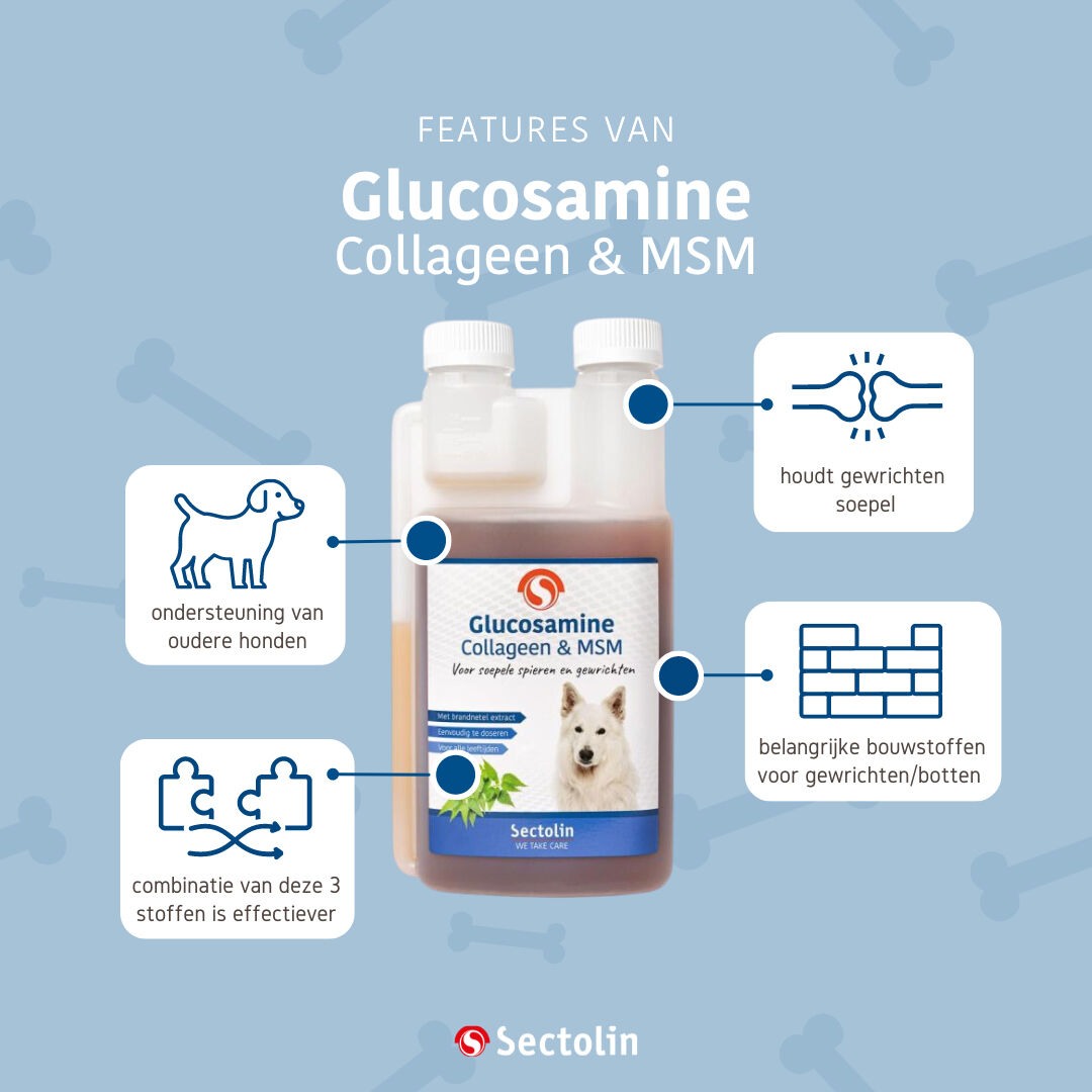 Sectolin Glucosamine Collageen & MSM - Gewrichten en spieren  Hond - 1.00 cm - 500.00 - 1.00 cm - 1.00 cm