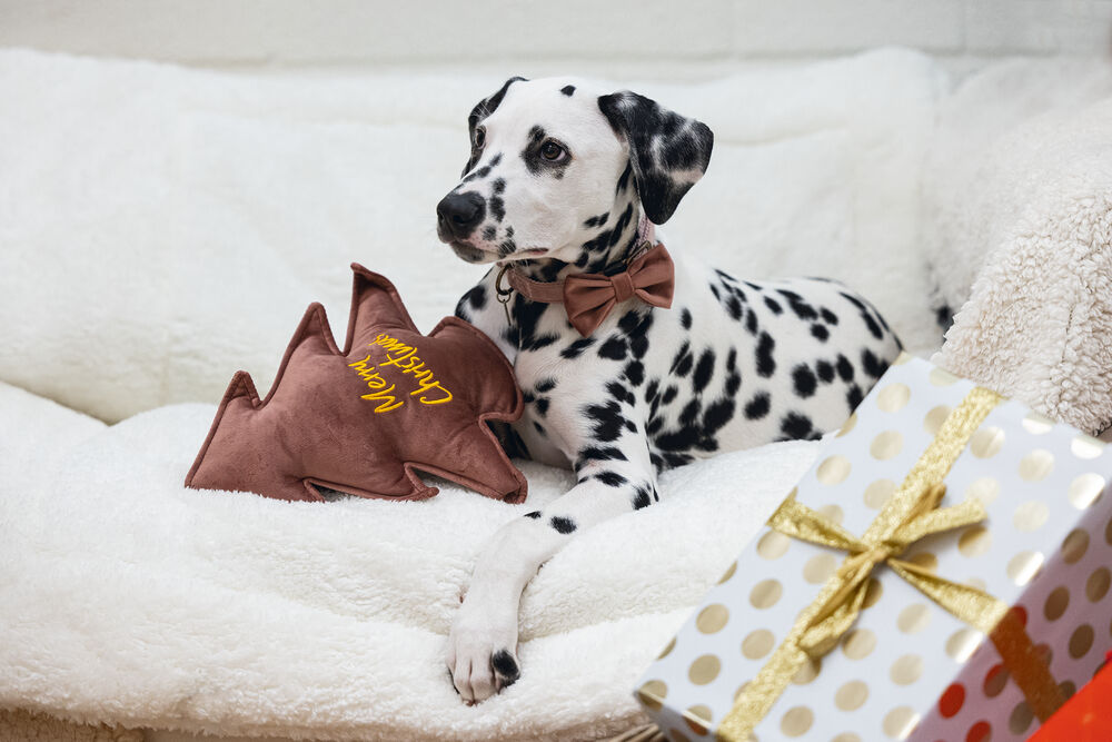 Designed By Lotte Kerstboom - Knuffel - Hondenspeelgoed - roze - 27x27x27 cm