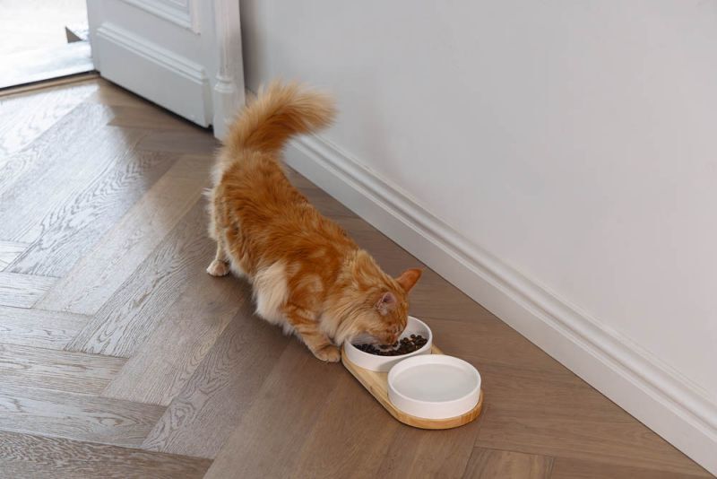 Designed by Lotte Lojs - Dinerset - Wit - 5.5x35x17.5 cm