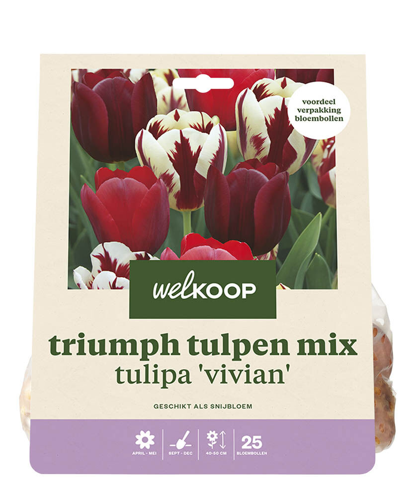 Welkoop Tulpen mix Dori - Bloembollen Welkoop Tulpen mix Dori - Bloembollen