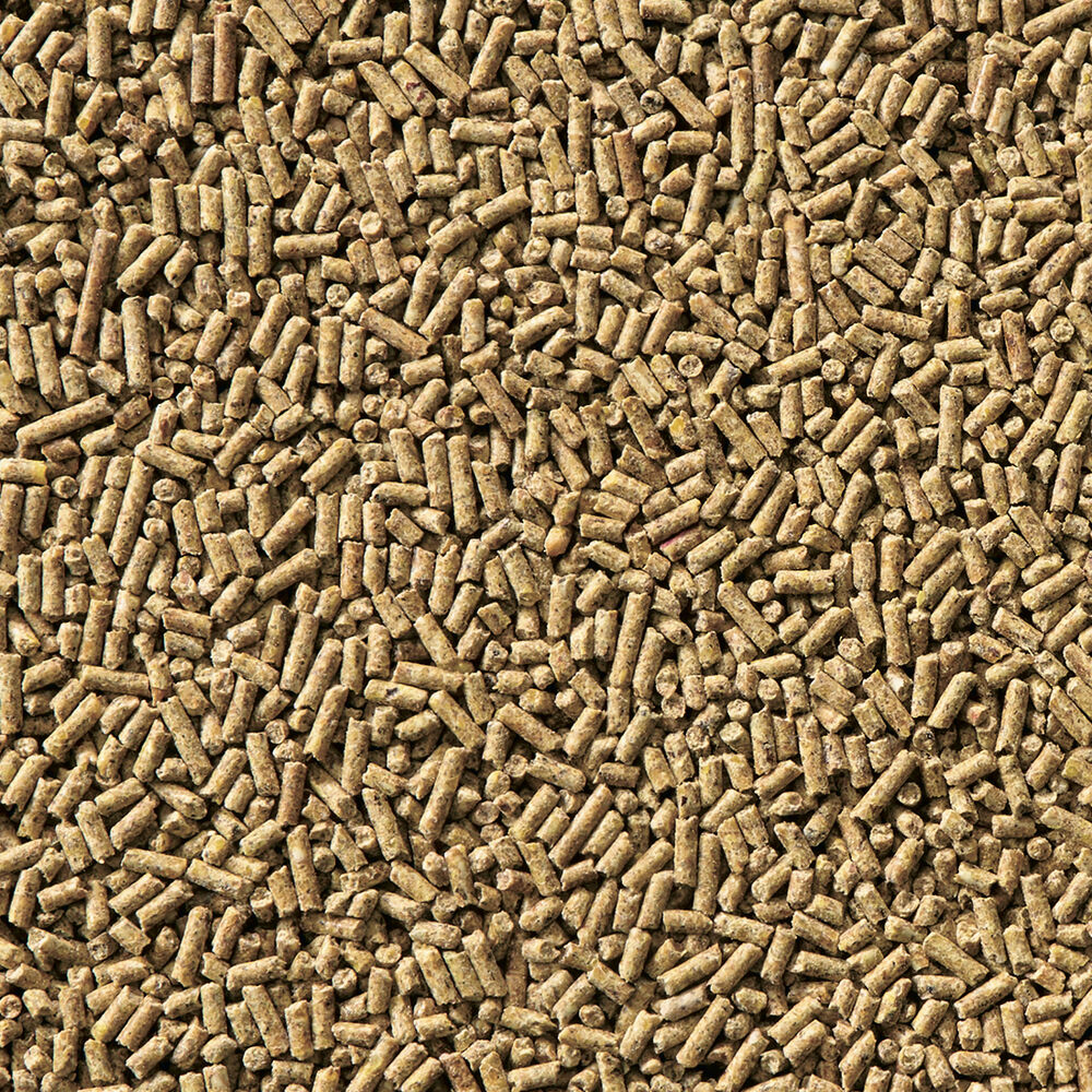 Welkoop Opgroeikorrel - Kuikenvoer - 20 kg